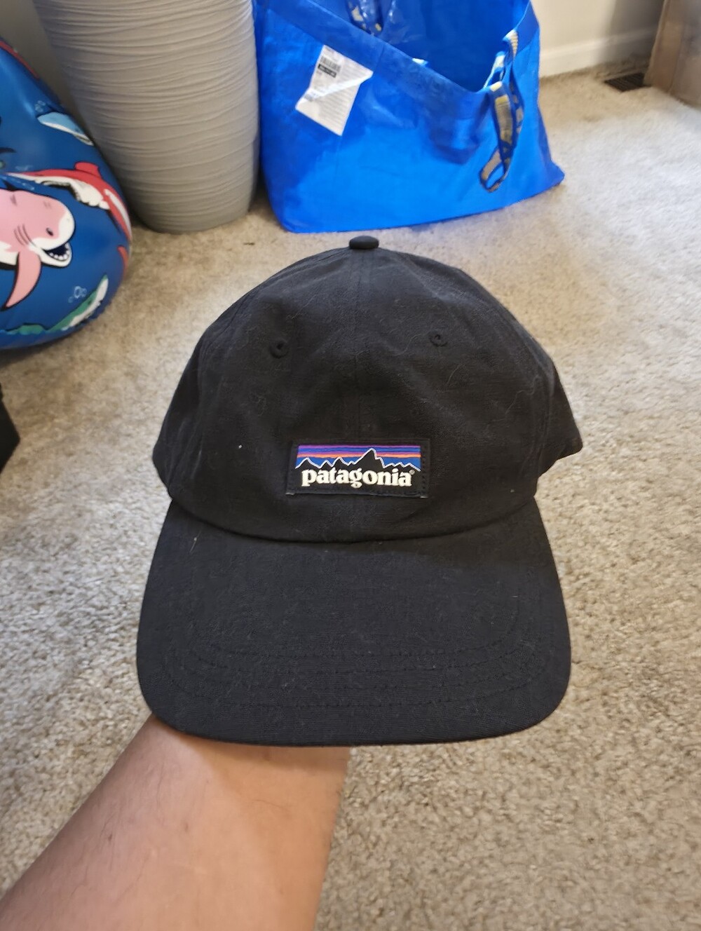Patagonia